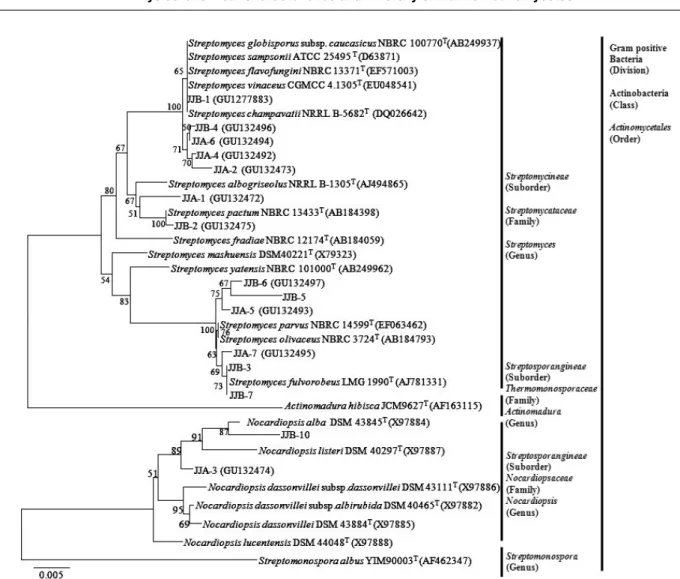 Table 2. Culturable marine actinomycetes identified on the basis of 16S rRNA sequence (Group I)