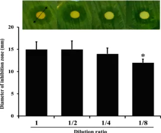 Figure 3. Antibacterial effects of immature red pine cone extract on the V. cholera. The four kinds of disk  con-taining the different concentration of immature red pine cone extract were placed on the bacteria plate spread with V