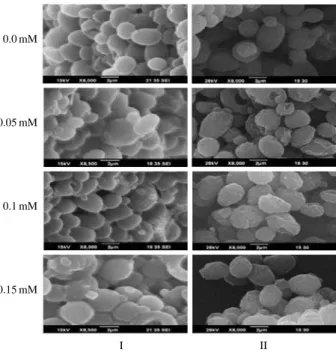 Fig. 3. Cell viability of adaptational cells after irradiation at 800 Gy hr -1 dose rate