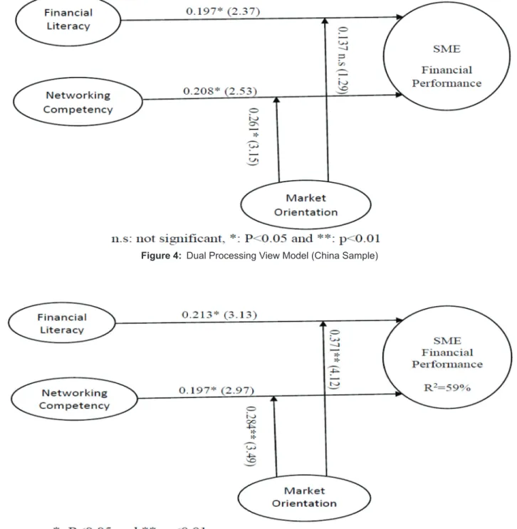 Figure 5:  Dual Processing View Model (UAE Sample)