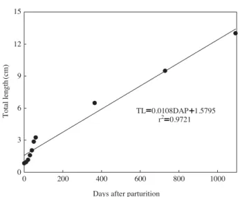 Fig. 6. Growth pattern of total length (TL) on days after parturition (DAP) in pale chub, Zacco platypus.