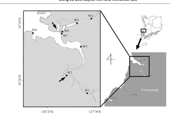 Fig. 1. The sampling stations in Watan stream, Yeonggwang, Korea (Hydrostatic Dam arrowed).