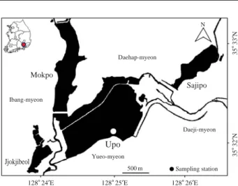Fig. 1. A map showing the sampling station in Upo wetland.