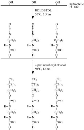 Figure 1. Schematic illustration for the modification of the surface of polyurethane hydrophilic film.