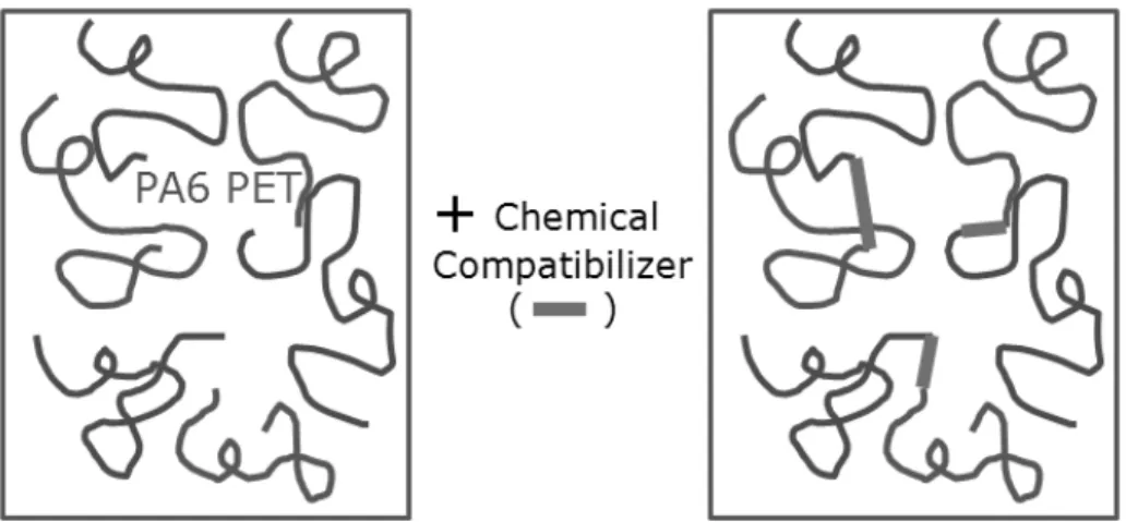 Figure 8. Concept of reactive compatibilization in PET/PA6 blend by epoxy.