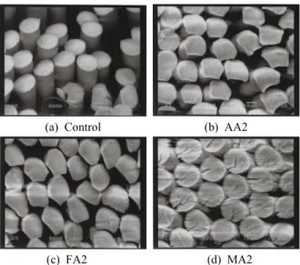Fig. 3. SEM images of knitted supermicrofibers treated  with  AA2,  FA2  and  MA2  at  130℃  for  30min  (×1000).