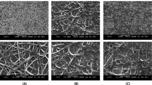Fig. 5. SEM images of electrospun cellulose web (5 wt%) at (A) 15 kV, (B) 20 kV, (C) 25 kV electrospun  directly  onto  the  water.
