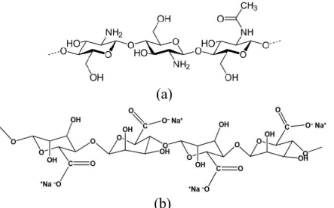 Fig. 1. Chemical structures of (a) Chitosan and (b) Sodium alginate.