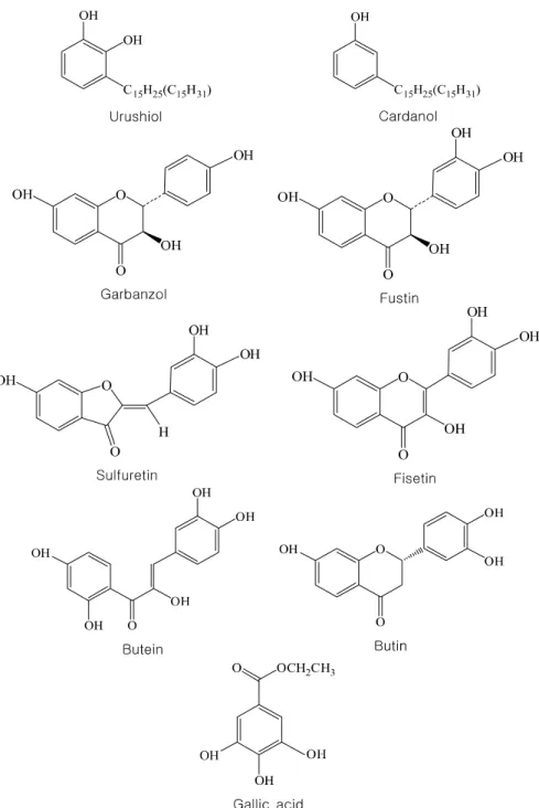 Fig.  1.  Ingredients  of  Rhus  verniciflua  extract. 가  C 3   사슬을  매개하여  결합한  C 6 -C 3 -C 6 형  탄소 골격구조로  되어  있다