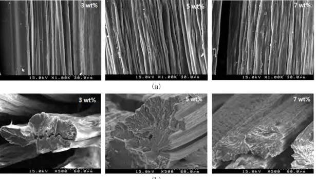 Fig.  7.  SEM  photographs  of  calcium  alginate  fibers  prepared  from  5  wt%  sodium  alginate  solution  and  CaCl 2   coagulation  bath;  (a)  surface  (×1000)  and  (b)  cross  section  (×500).