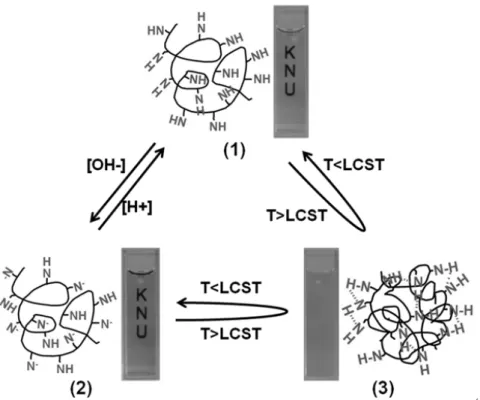 Fig.  6.  Schematic  representation  of  the  multiple  switching  process  of  poly  (NIPAM-co-dye)  associated  with  the  three  states  of  (1),  (2),  and  (3).