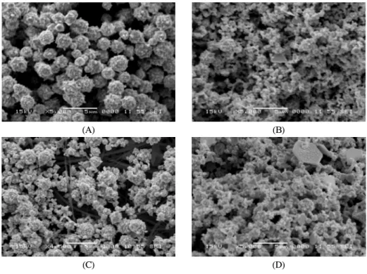 Fig.  4.  SEM  images  of  gold  particles  produced  by  wet-chemical  process  using  1.76  wt% 