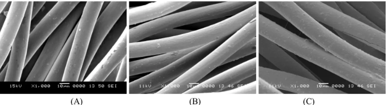 Fig.  4.  SEM  images  electroless  Ni-plated  ELEX ®  fibers  (A)without  and  (B)with  Pd-activation  at  ×  5,000  in  magnification.