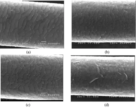 Fig.  8.  Protein  release-ability  of  hair  dyed  with  cochi- cochi-neal  according  to  dyeing  temperature