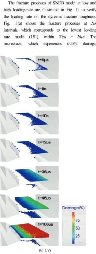 Fig.  11.  Distribution  of  fracture  process  zone  around  notch  tip
