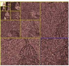 Fig.  7.  Coefficients  of  MRA  image.
