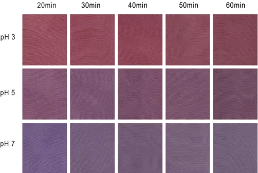 Fig.  13.  Effect  of  pH  and  time  on  C  value  of  Gromwell-  dyed  silk  fabric.(Dyeing  condition  ;  temp