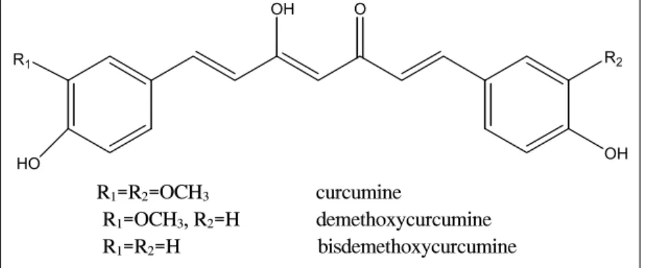 Fig.  3.  Chemical  structure  of  curcumine.