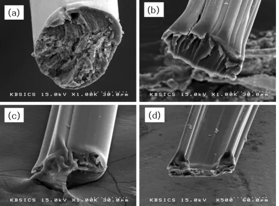 Fig.  9.  SEM  photographs  of  surface  and  cross-section  of  composite  fibers  of  spinning  at  30  cm  air-gap  distance