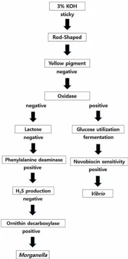 Fig.  1.  Flow  chart  for  identification  of  bacteria  isolated  from  commercial  fisheries 