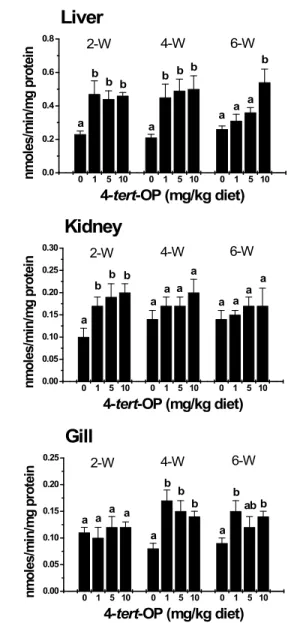 Fig.  3.  Glutathione  S-transferase  enzyme  activity  (µmo- (µmo-les/min/mg  protein)  in  liver,  kidney  and  gill  of  olive  flounder  exposed  to  different  levels  of   4-tert-octylphe-nol  for  2,  4  and  6  weeks