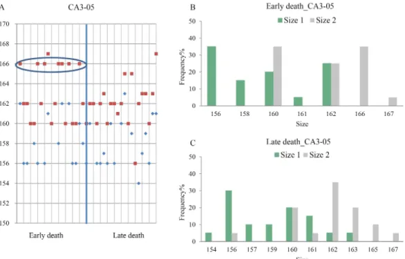 Fig.  2.  Distribution  patterns  of  microsatellite  marker  (CA3-05)  in  RBIV-infected  rock  bream