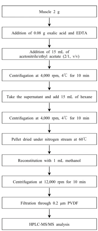 Fig.  4.  Developed  analytical  method  through  the  study