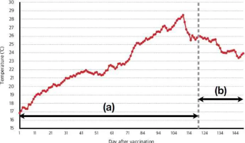 Fig.  1.  Natural  sea  water  temperature  during  the  experiment.  (a)  Water   tem-perature  after  NNV  live-vaccination,  (b)  Water  temperature  after  NNV   infec-tion.