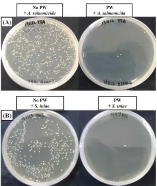 Fig.  3.  Difference  of  bacterial  growth  (Aeromonas  sal- sal-monicida  and  Streptococcus  iniae)  in  log  number  of   col-ony  forming  unit  (CFU)  between  No  PW  (■,  not  treated  with  plasma  water)  and  PW  (□,  treated  with  plama   wa-t
