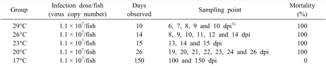 Table  1  Experimental  details  of  artificial  infection Group Infection  dose/fish 