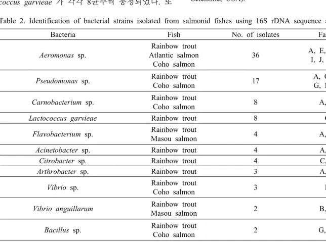 Table  2.  Identification  of  bacterial  strains  isolated  from  salmonid  fishes  using  16S  rDNA  sequence  analysis