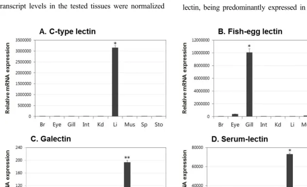 Fig.  1.  mRNA  expression  of  olive  flounder  lectins  in  various  tissues  of  healthy  fish