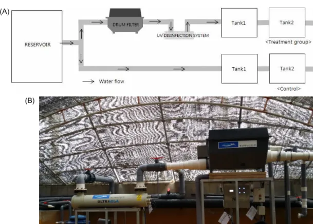 Fig.  1.  Schematic  illustration  of  filtration-UV  disinfection  system  (A)  and  installing  scene  (B).