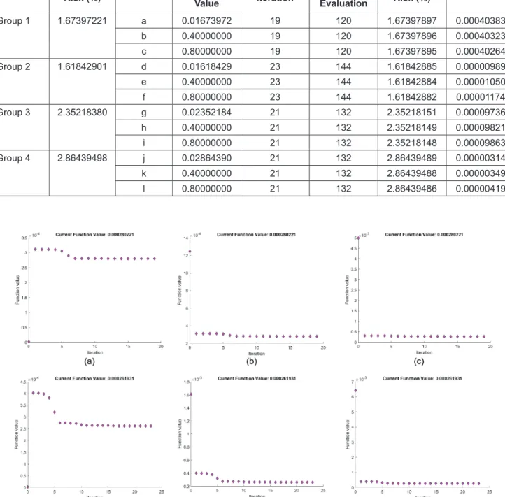 Figure 3: The Optimal Plot of Function Evaluation of all Portfolios Under Varying Initial Conditions