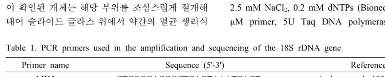 Table  1.  PCR  primers  used  in  the  amplification  and  sequencing  of  the  18S  rDNA  gene