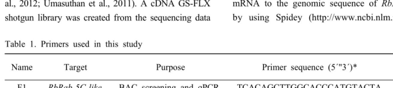 Table  1.  Primers  used  in  this  study
