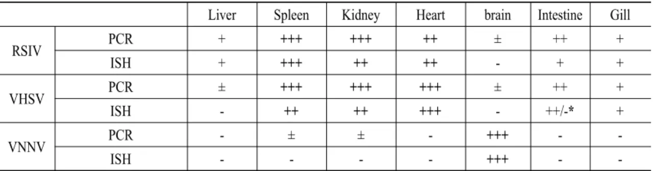 Table 2. Detection of RSIV, VHSV and VNNV from organs of cultured flounder by PCR and ISH methods.