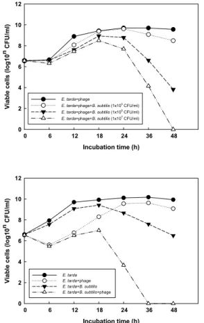 Fig. 2. Antibacterial effect of three different numbers of  B. subtilis (1×10³, 10⁵, 10⁷ CFU/㎖) and phage (2×10³ PFU/