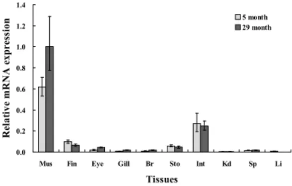 Fig. 4. Quantitative real-time PCR analysis of the expression patterns of olive flounder galectin-1 showing the relative levels of galectin-1 mRNA in different tissues