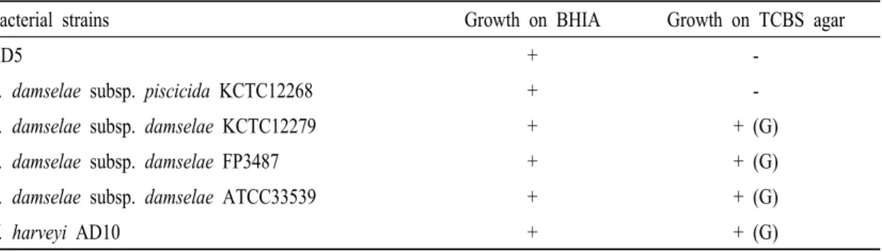 Table 2. Growth of bacterial strains on brain-heart infusion agar (BHIA) and thiosulphate citrate bile salts-sucrose (TCBS)  agar plates