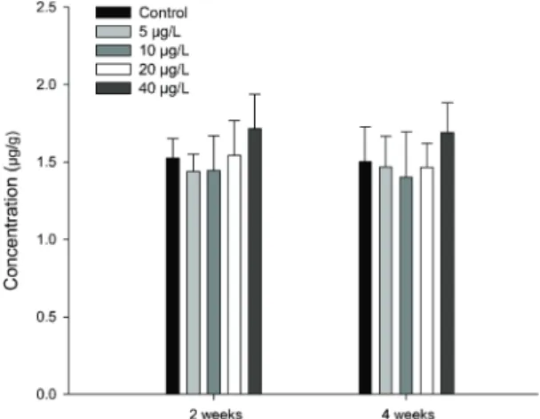 Fig. 1. Changes of Cu concentration in the hepatopancreas of the abalone Haliotis discus hannai exposed to various Cu concentrations for 4 weeks