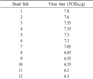 Table 1. Virus isolaiton from dead maso salmon by VHSV infection