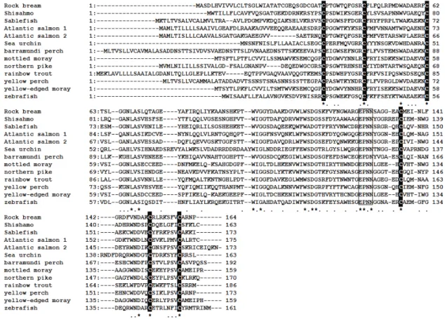 Fig. 2. Multiple‐sequence alignment of the Rb‐CTL 3 CRD with CRDs of 11 other fish C‐type lectins