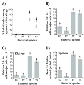 Fig. 1. Effects of bacterial pathogenicity on the mRNA  expression of hepcidin in mud loach tissues