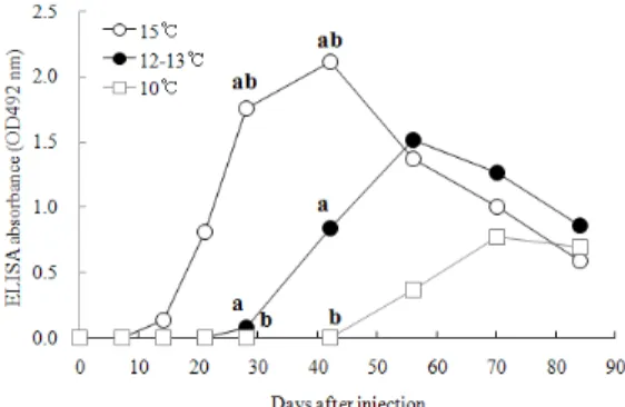 Fig. 2. Specific antibody response in serum from olive  flounder kept at three different temperatures after intraperioneal injection with BSA (mean; n=5)