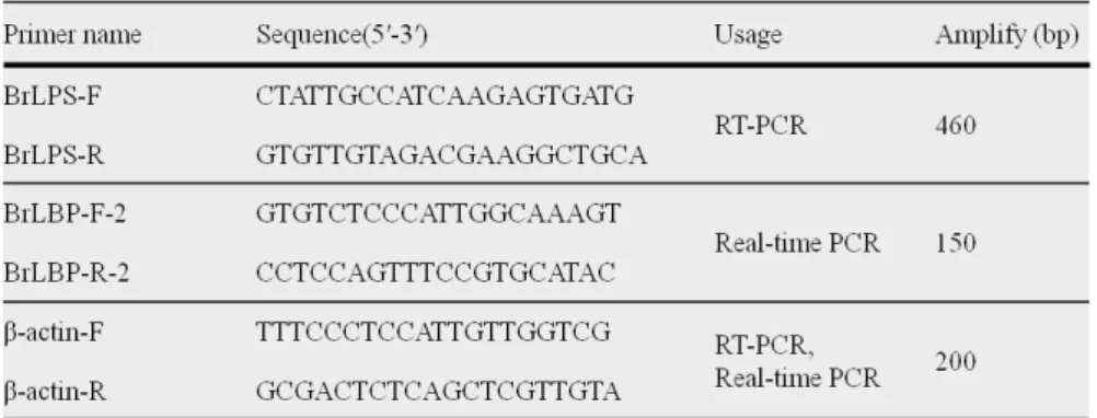 Table 1. Primers used for all the experiments