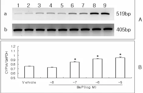 Fig. 1. Effects of benzo[α]pyrene (B[a]P) on CYP1A gene expression in cultured eel hepatocytes.