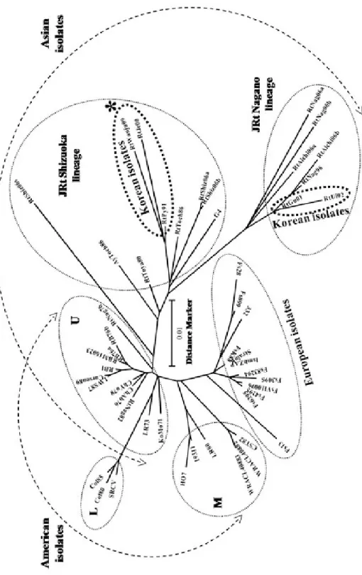 Fig. 1. Molecular phylogenetic tree showing the genetic relationships among 50 isolates of infectious hematopoietic necrosis virus (IHNV) based on nucleotide sequences of the glycoprotein gene open reading frame (ORF)