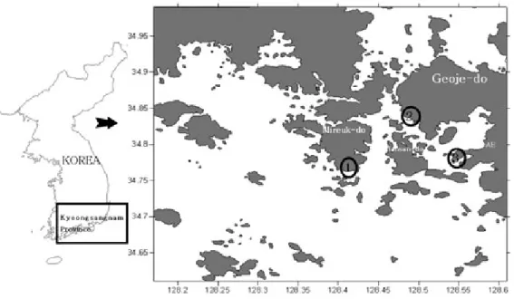 Fig. 1. Location of the Korean rockfish sampling station (1, Haklim-do sea area; 2, Bisan-do sea area; 3, Geoje-do sea area).