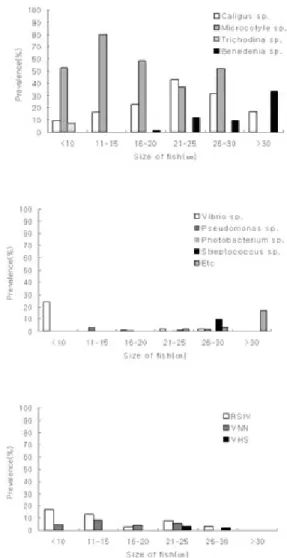 Fig. 6. Prevalence of causative agent of the parasite, bacte- bacte-ria and virus according to the size of Korean rockfish.